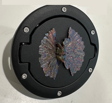 Load image into Gallery viewer, Dilophosaurus in 3D - Blk w Zinc Color for Jeep JK/JKU Flag Gas Cap Cover - Dinosaur
